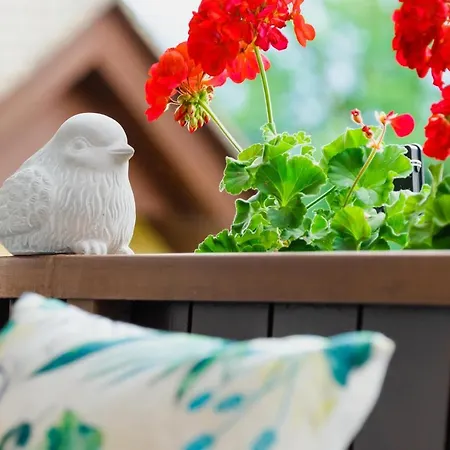 Appartement Dreamland