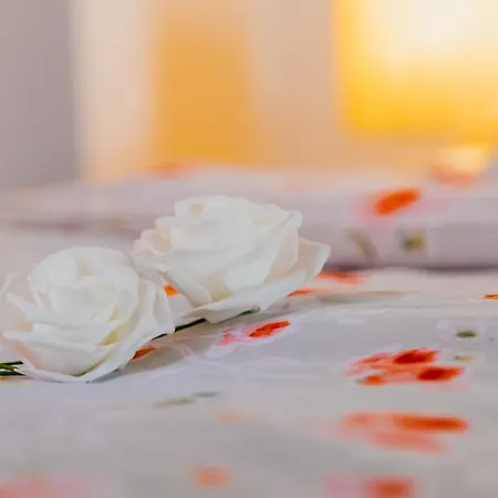 Dreamland Апартаменты Блед