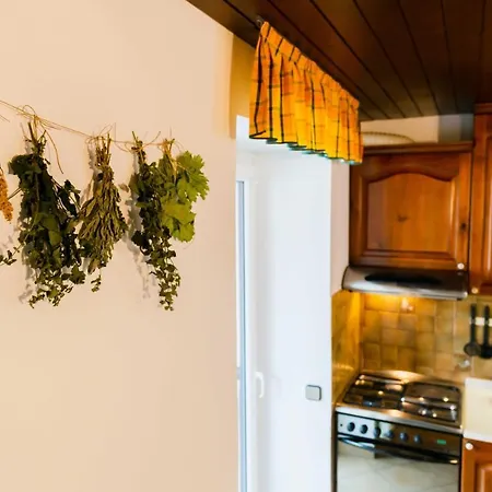 Dreamland Appartement Bled