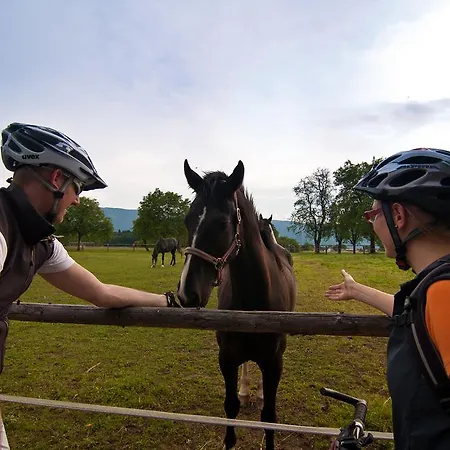 Apartamento Dreamland